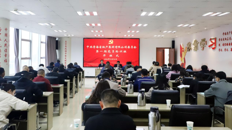 鑄魂強基 聚力賦能&mdash;&mdash;集團黨委2024年第一期黨員輪訓班圓滿結(jié)束