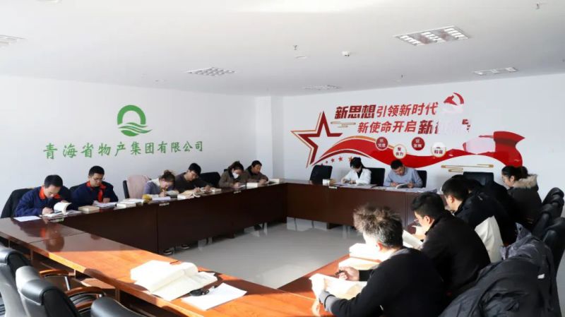 凝心鑄魂學(xué)思想 充電蓄能促提升&mdash;&mdash;集團(tuán)團(tuán)委組織開展團(tuán)員和青年主題教育&ldquo;挺膺擔(dān)當(dāng)&rdquo;專題集中學(xué)習(xí)