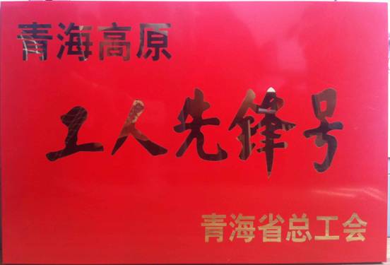 祝賀特鋁合金公司鑄造車間獲得青海高原&ldquo;工人先鋒號&rdquo;榮譽稱號