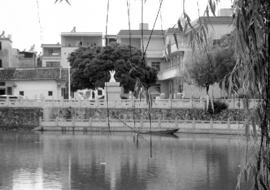 老鄉(xiāng)眼里的李河君：陌生富豪，夫人助其發(fā)財